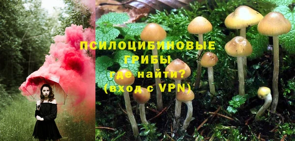 первитин Нея