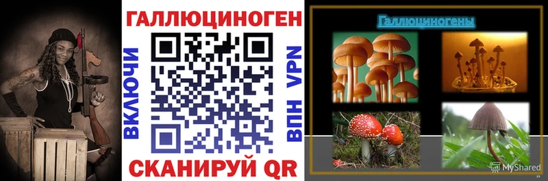Псилоцибиновые грибы прущие грибы Нижний Тагил
