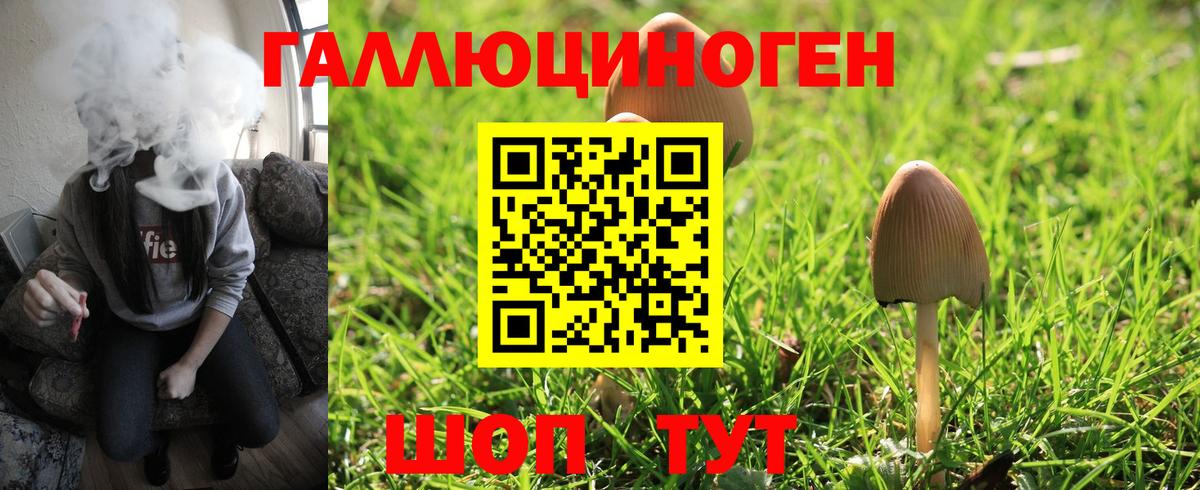 Галлюциногенные грибы GOLDEN TEACHER Нижний Тагил